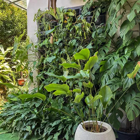 Cozy Botanical Garden House Villa Batam Exterior photo